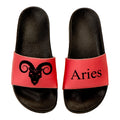 ARIES Zodiac Slides