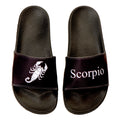 SCORPIO Zodiac Slides