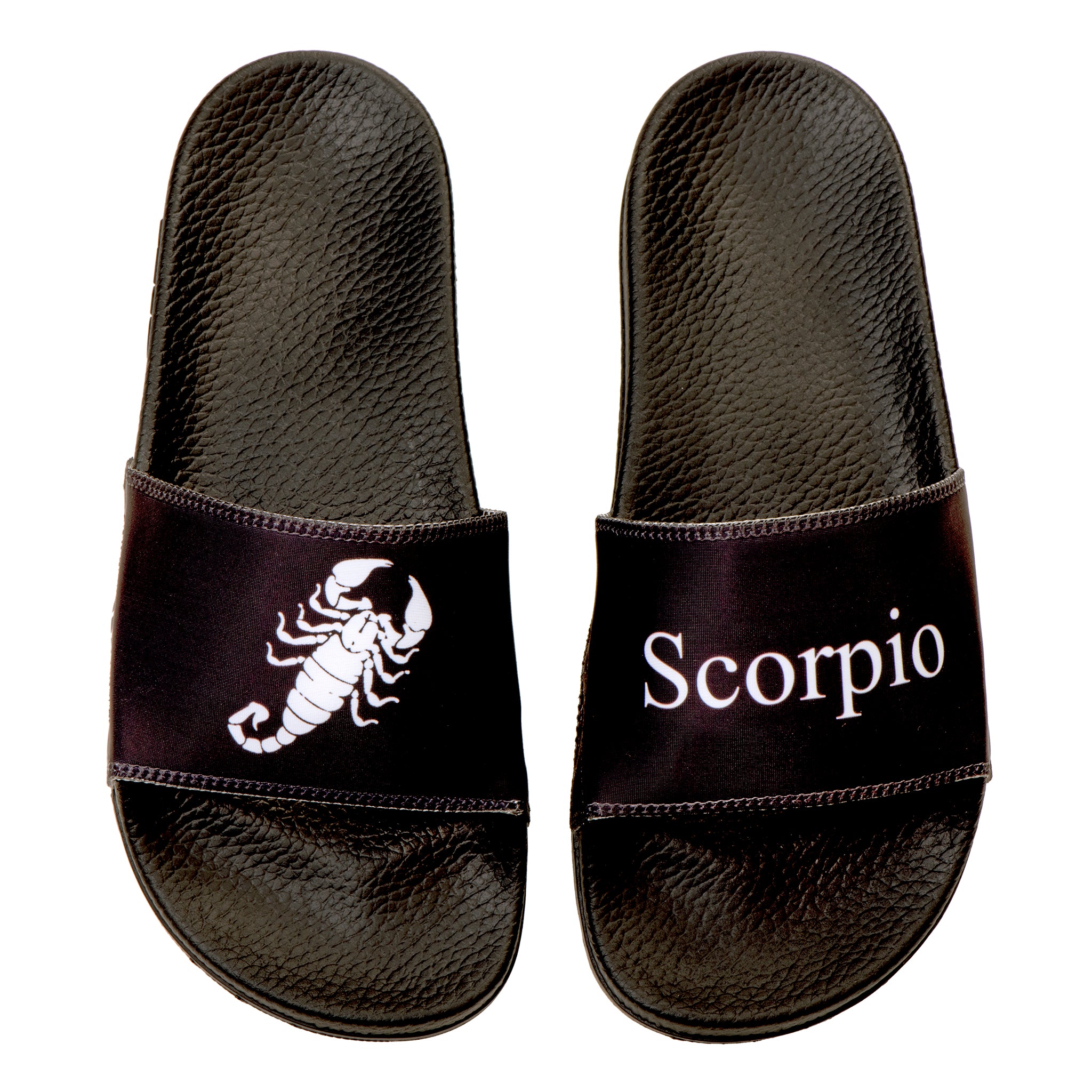 SCORPIO Zodiac Slides